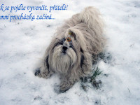 sicka_001