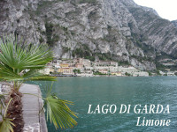 Limone-001