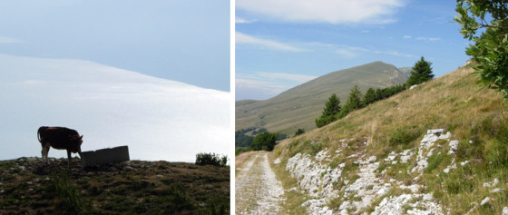Monte Baldo_11