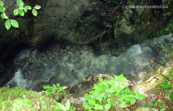 Mostnica_636