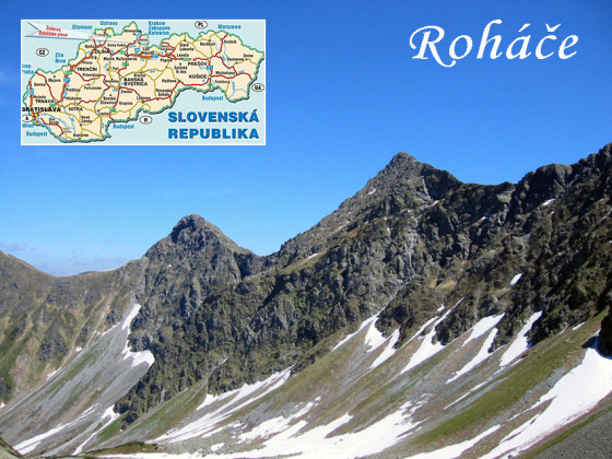 rohace-01