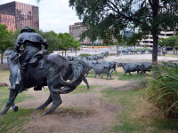 DALLAS-01