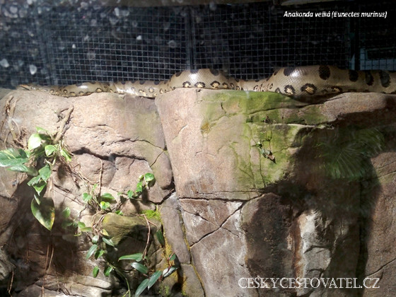 akvariumgdynia-06