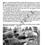 AA-13a